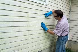 Best Siding Painting and Refinishing  in Mechanicstown, NY